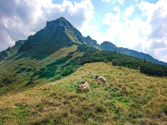 Blick vom Miesingsattel auf die Nordseite der Rotwand