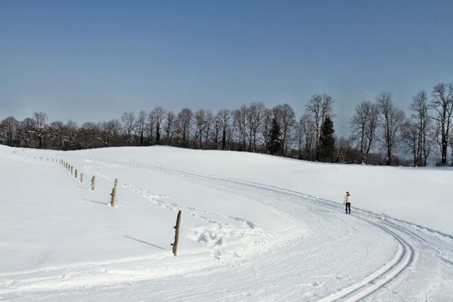 Hainzenhöhe Steinberg