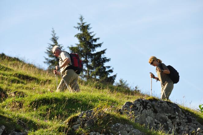 Aufstieg zur Schönfeldhütte - Vom Spitzingsattel geht es über gemütliche Pfade hinauf