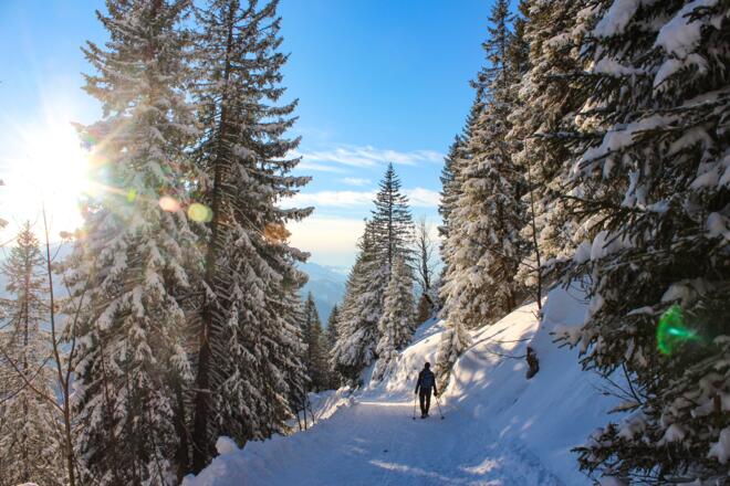 Leichter und wu(a)nderbar präparierter Weg