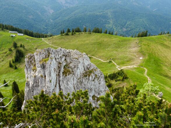 die Roßsteinnadel von oben
