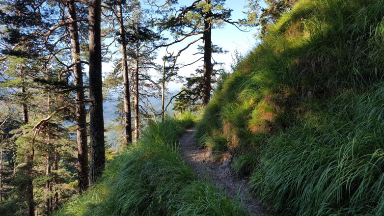 Zustieg entlang sehr steiler Grashänge