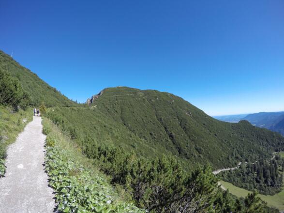Der Weg vom Herzogstandhaus zum Gipfel (30 Minuten)