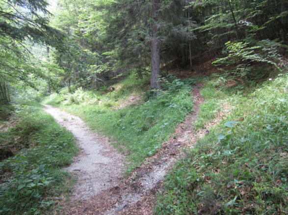 hier verlässt man den markierten Weg