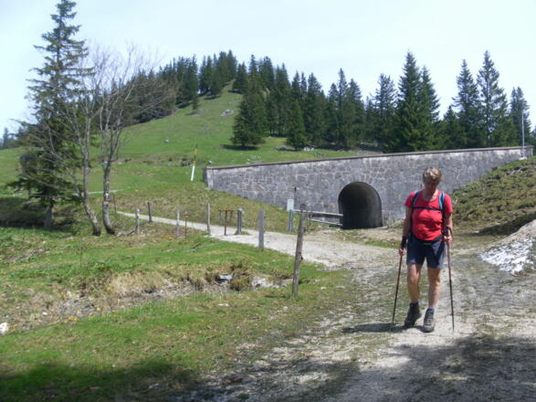 von der Roßfeldstraße zum Eckersattel