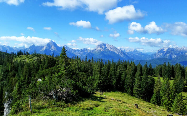 Märchenpfad Bischofswiesen