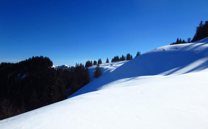 Winterwunderland am Rossfeld