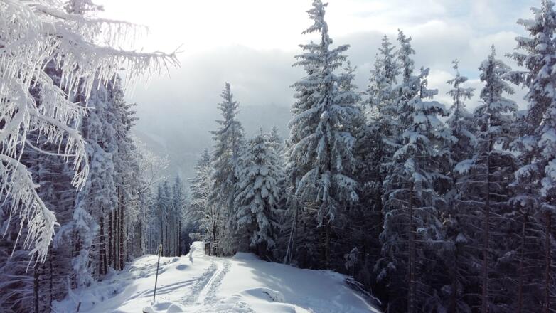 Am Gipfel des Zinkenkogels