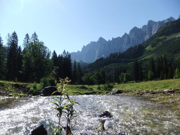 Im Kleinen Ahornboden