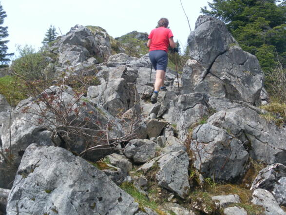 &quot;Gipfelgrat&quot; Schrofen