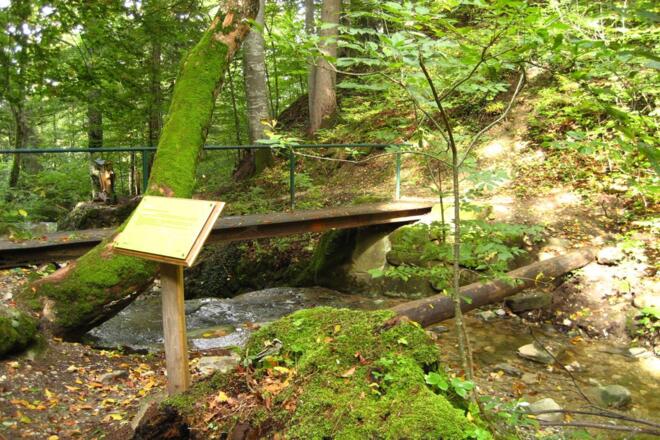 Themenweg - Mythenweg - Timberland Trail - Köhlerweg