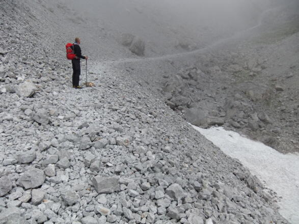 Der Pfad ist immer gut erkennbar