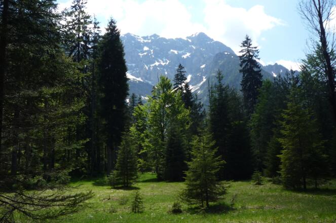 Nähe der ehemaligen Hunding Hütte