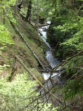 Schlucht unterhalb des Wasserfalls