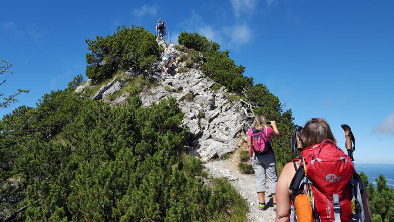 Kurze unschwierige Kraxelstelle auf dem Grat