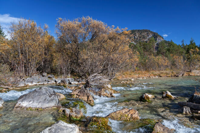 Wildflusslandschaft Isar in Vorderriß