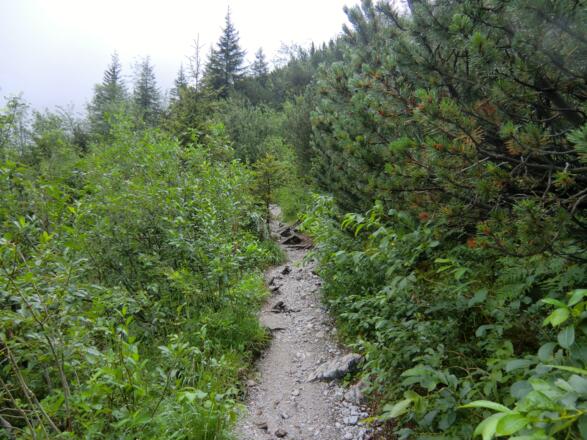 Kurz vor der Dammkarhütte