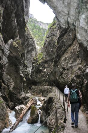 Ein bizarres Formengewirr