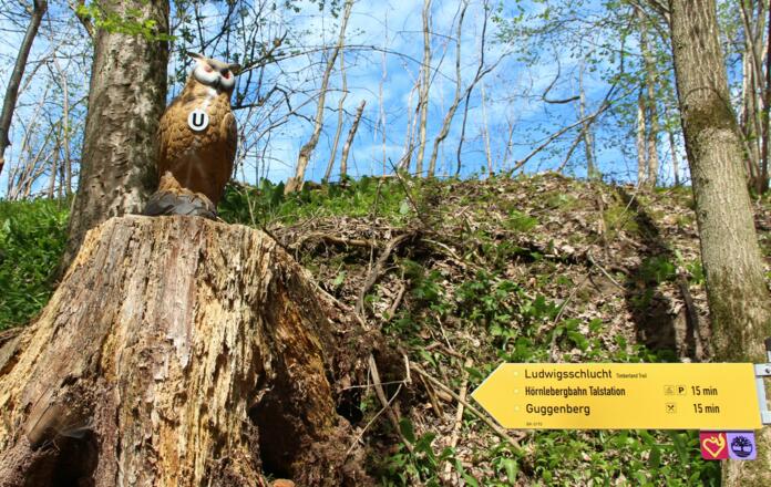 Station Timberlandtrail mit Wanderbeschilderung