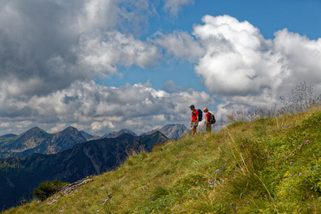 Abstieg in Richtung Hasenjöchl