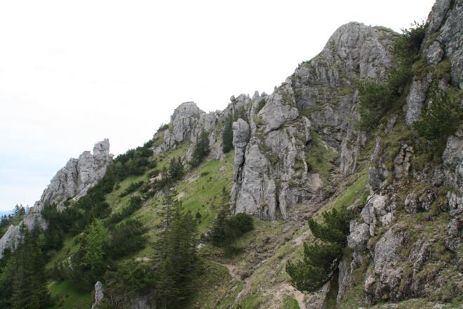 Selbst auf 1400 m kann im Alpenvorland das Gelände recht alpin sein.