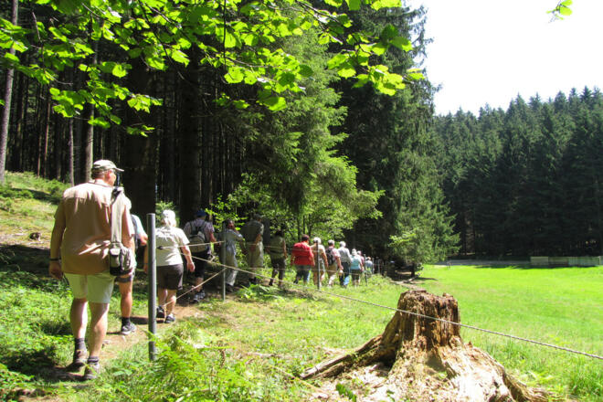 Wanderung - Ammer 1 Rundweg