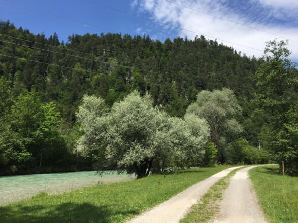Loisachradweg Oberau - Eschenlohe