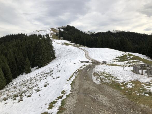 Blick zum hinteren Hörnle mit etwas Schneeauflage