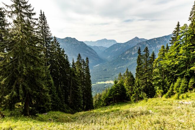 Weitblick vom Weg in Graswangtal