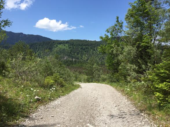 kurzes Gefälle vor dem Golfplatz Oberau