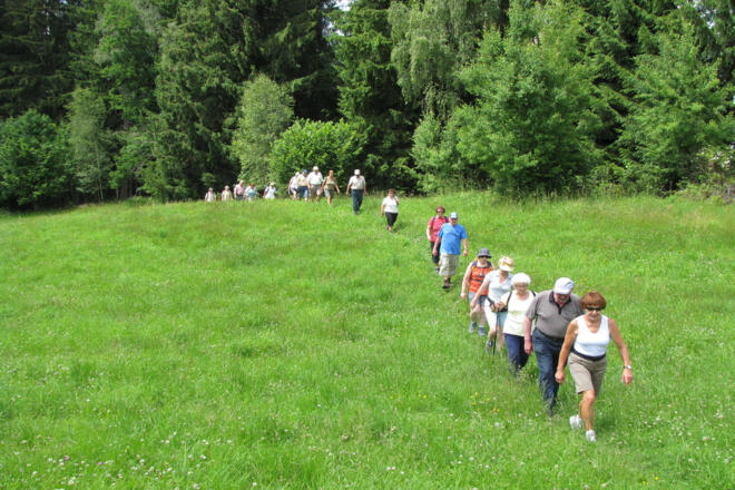 Wanderung - Ammer 1 Rundweg