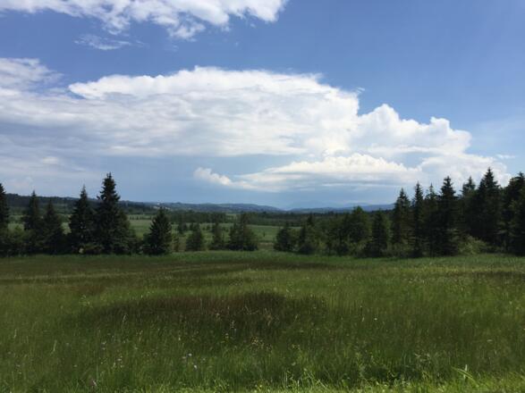 Blick über&#039;s Murnauer Moos