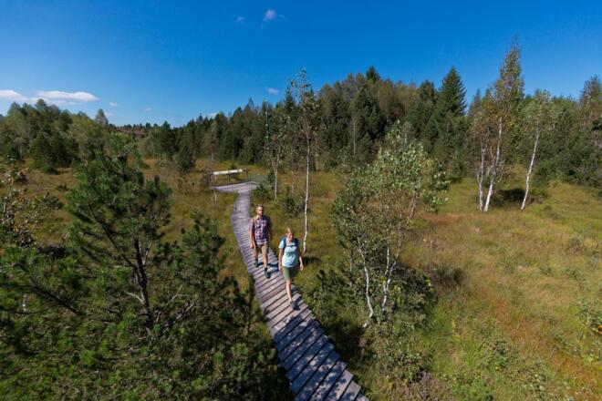 Moorlehrpfad Bad Bayersoien