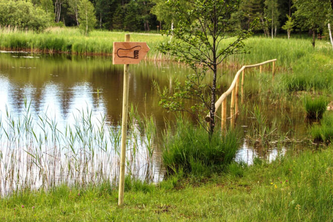 Themenweg - Barfußpfad - Soier See