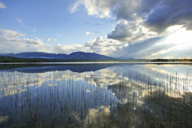 Wanderung - Drachenstich-Rundweg - Spiegelungen im Staffelsee