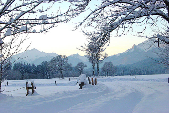 Winterwanderung - Weidmoos