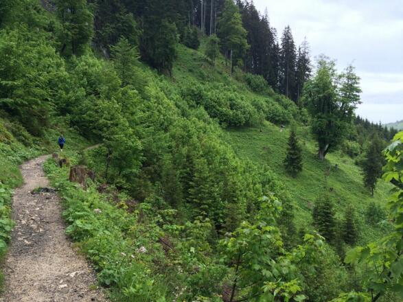 Umgehung auf dem Panoramasteig