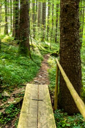 Weg Nahe Schloss Linderhof