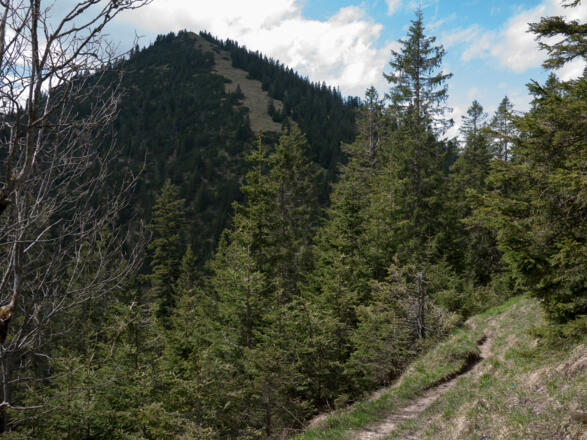 Hirschberg von Norden