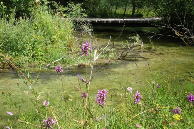 Wanderung - Rund um Kloster Ettal