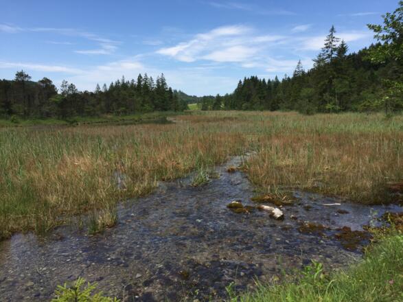 Bei den sieben Quellen