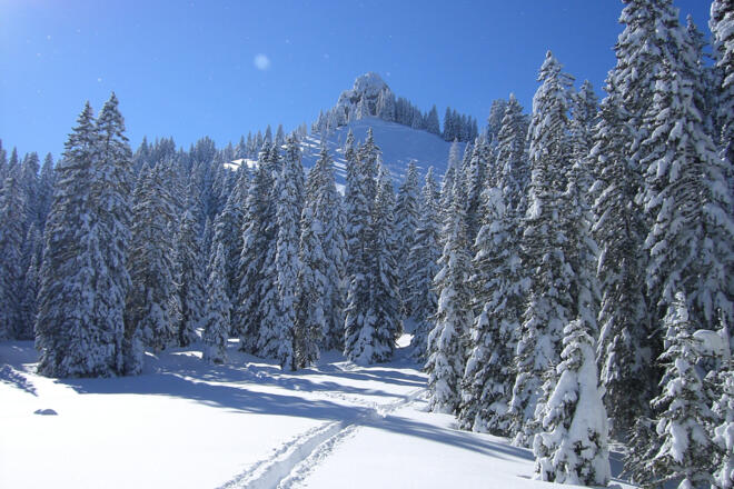 Schneeschuhwanderung Laber - Ettaler Manndl