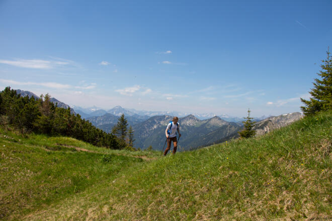 Wiese kurz vor dem Gipfelanstieg