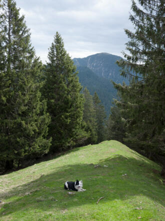 Blick vom Ölrain zum Heimgarten