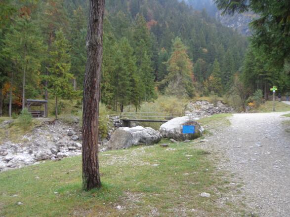 Wanderweg zur Föhrenheide