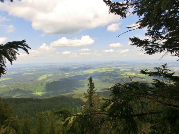 Blick ins Alpenvorland zur Wieskirche