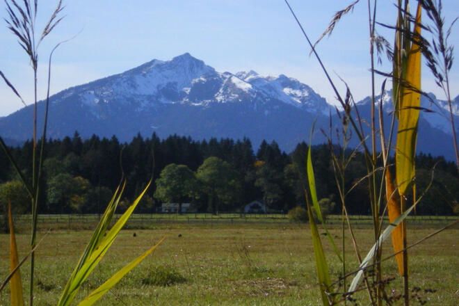 Wanderung - Durch das Weidmoos - Blick auf Scheinberg