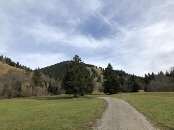 Kurz hinter Kappel mit Blick auf das Almgelände, durch das der Weg führt.