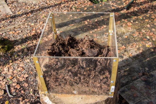 Moorlehrpfad Bad Bayersoien