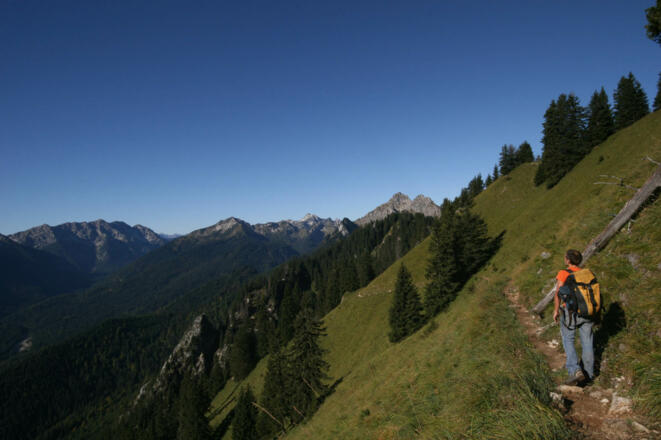 Südflanke Latschenkopf